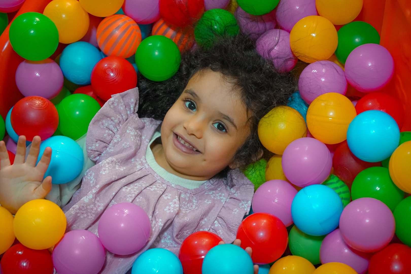 گالری تصاویر